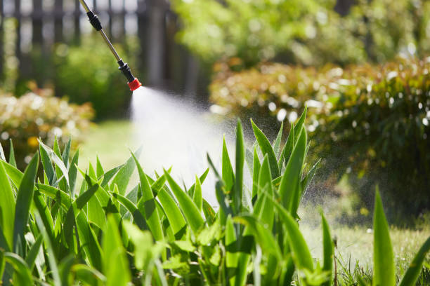 24/7 Emergency Wasp Removal experts in Elberton, GA