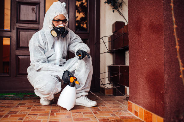 Reliable Wasp Removal contractor in Elberton, GA by Show Me Pest Control